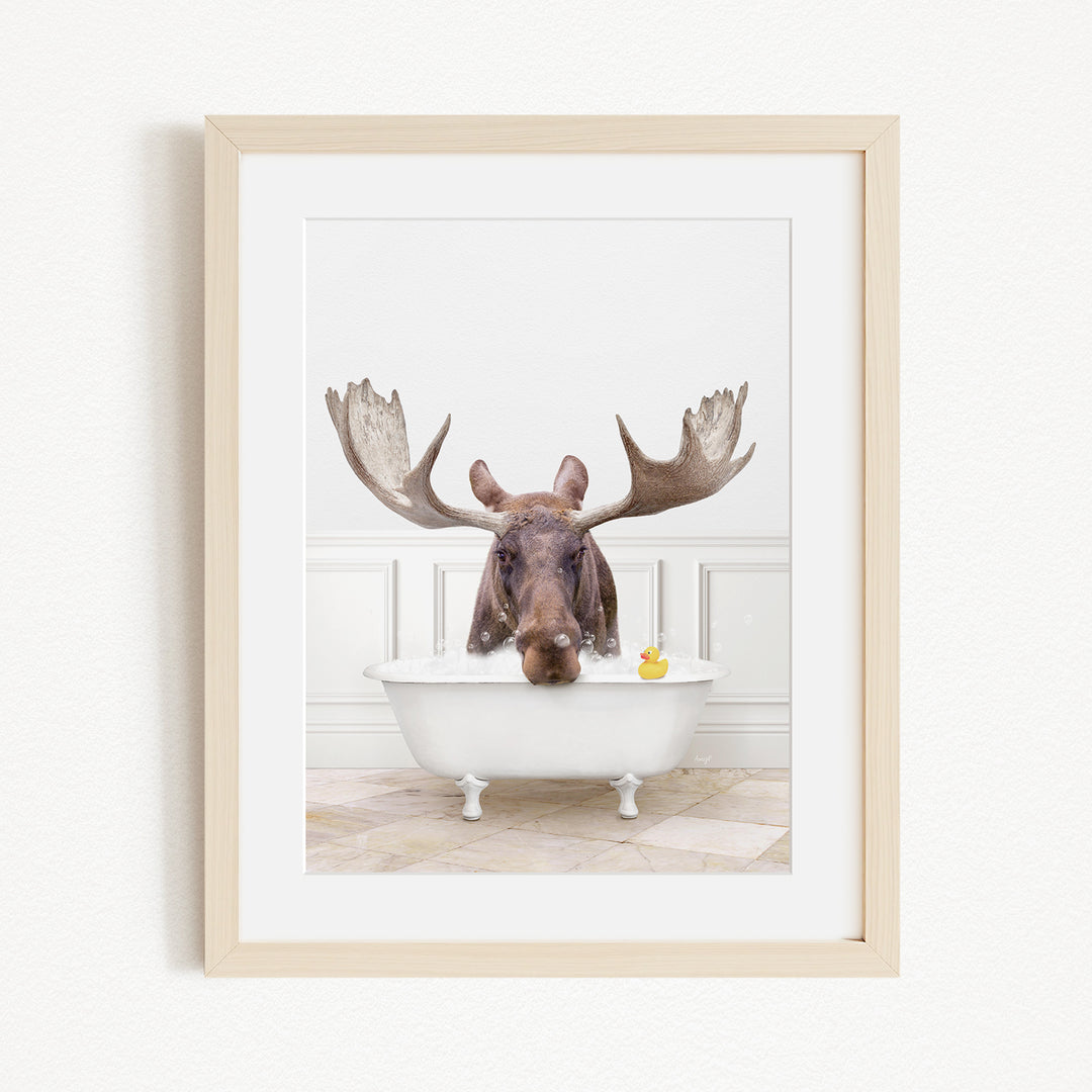 A moose with large antlers is sitting in a white bathtub, with a yellow rubber duck floating in the water.