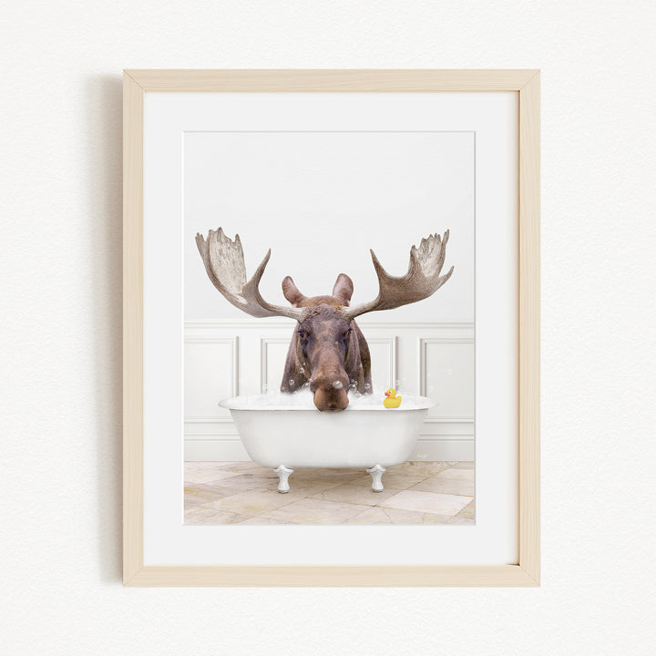A moose with large antlers is sitting in a white bathtub, with a yellow rubber duck floating in the water.