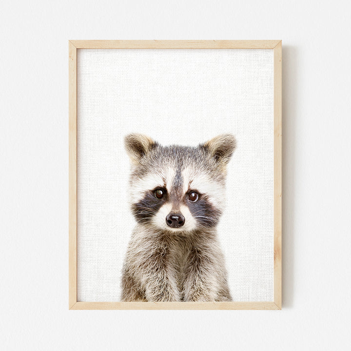 a picture of a raccoon in a wooden frame