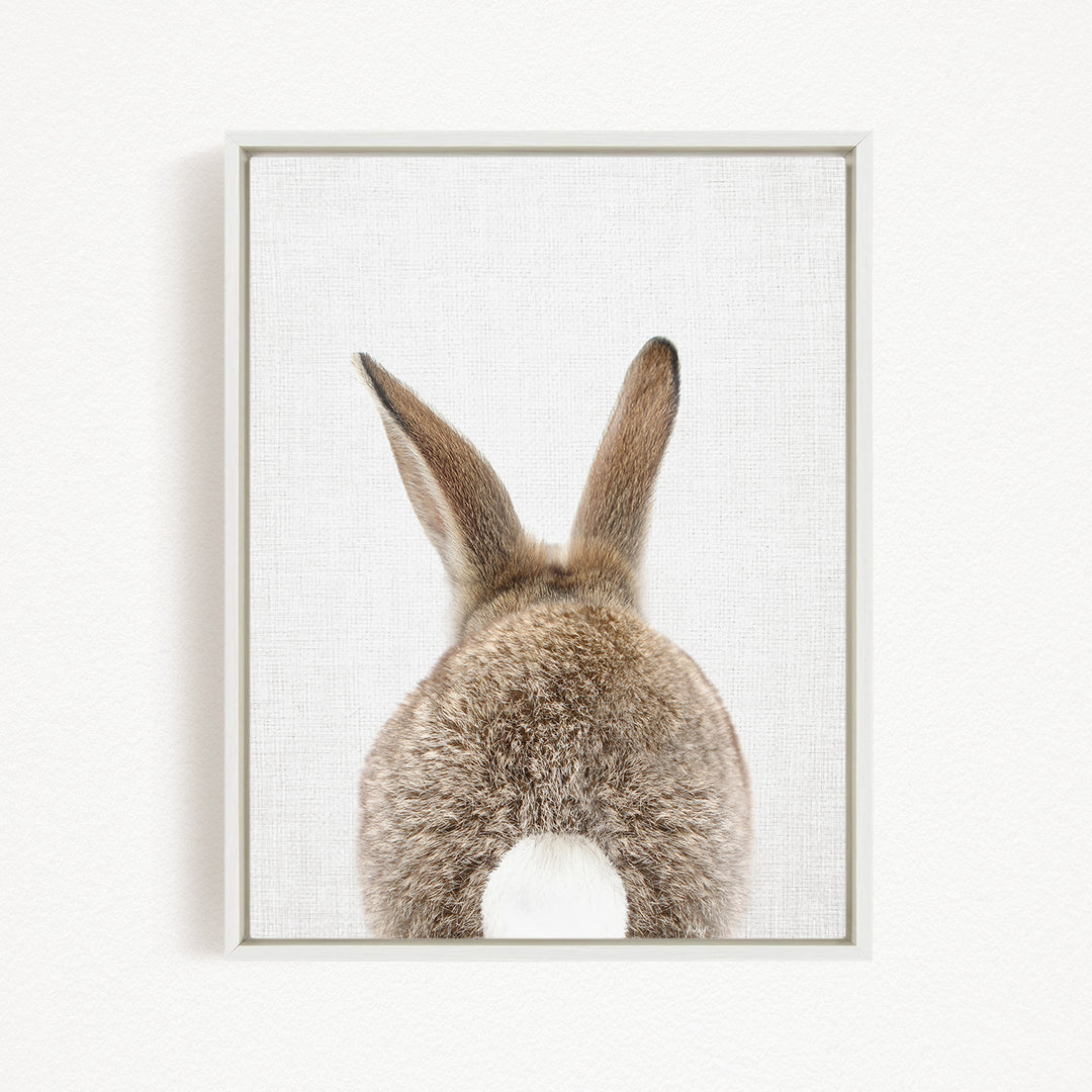 the back of a rabbit's head and ears, with its fluffy fur and long ears visible.