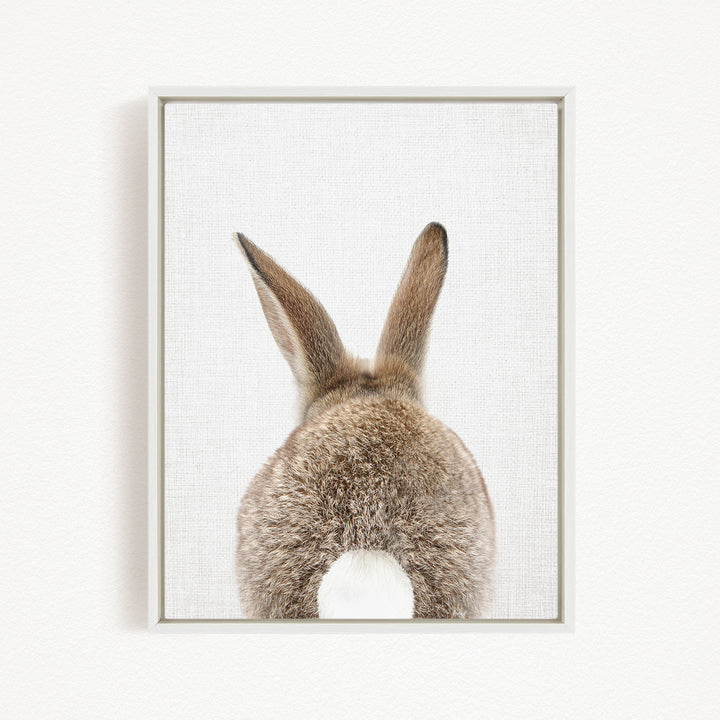 the back of a rabbit's head and ears, with its fluffy fur and long ears visible.