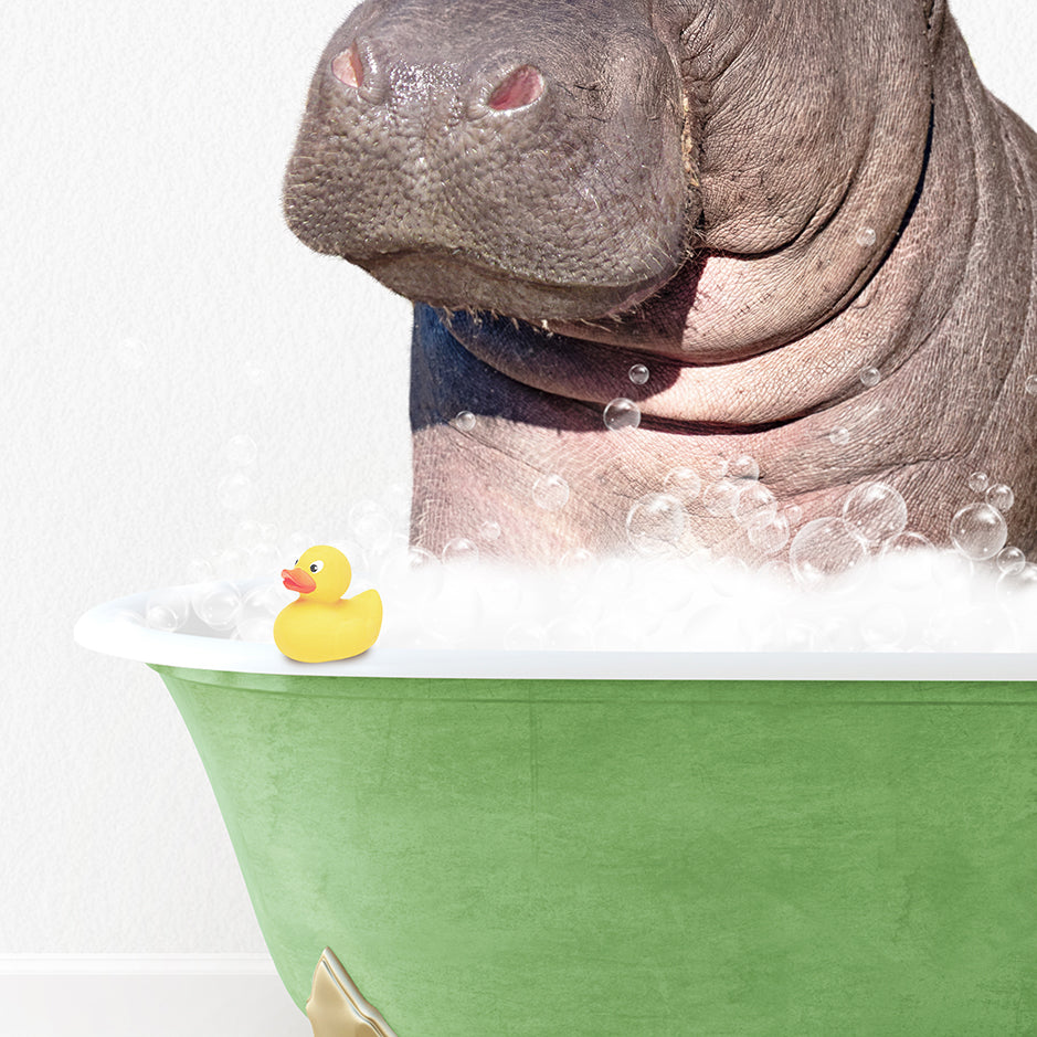 a hippopotamus in a bathtub with bubbles and a rubber duck