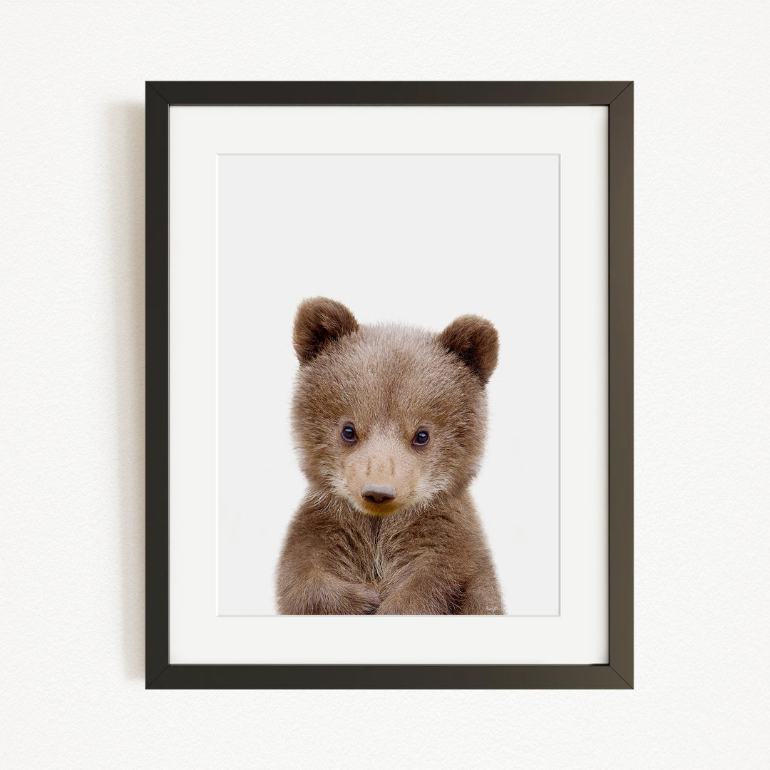 A cute baby bear with large eyes and a small nose is the focus of the framed picture.