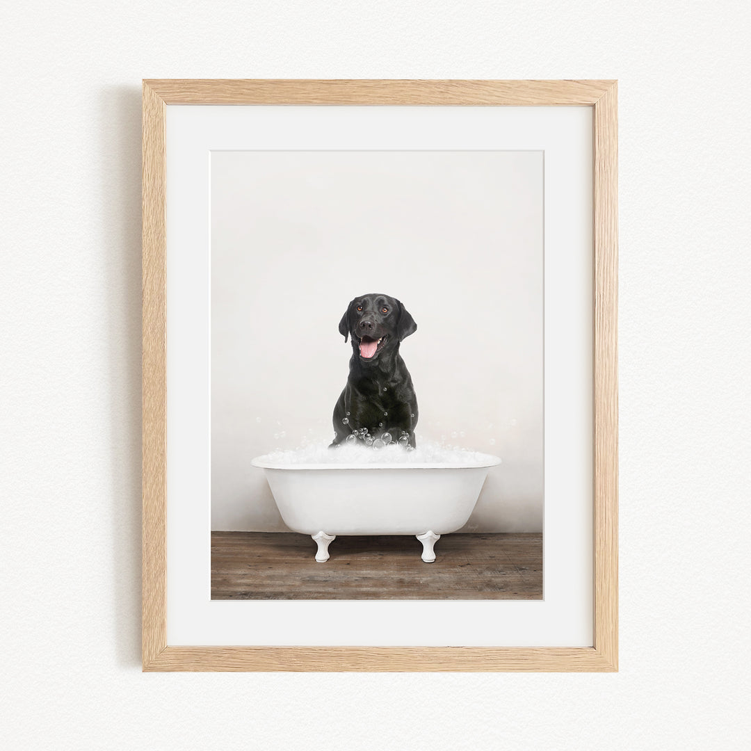 A black dog sitting in a white bathtub filled with water, with its tongue out, creating a playful and humorous scene.