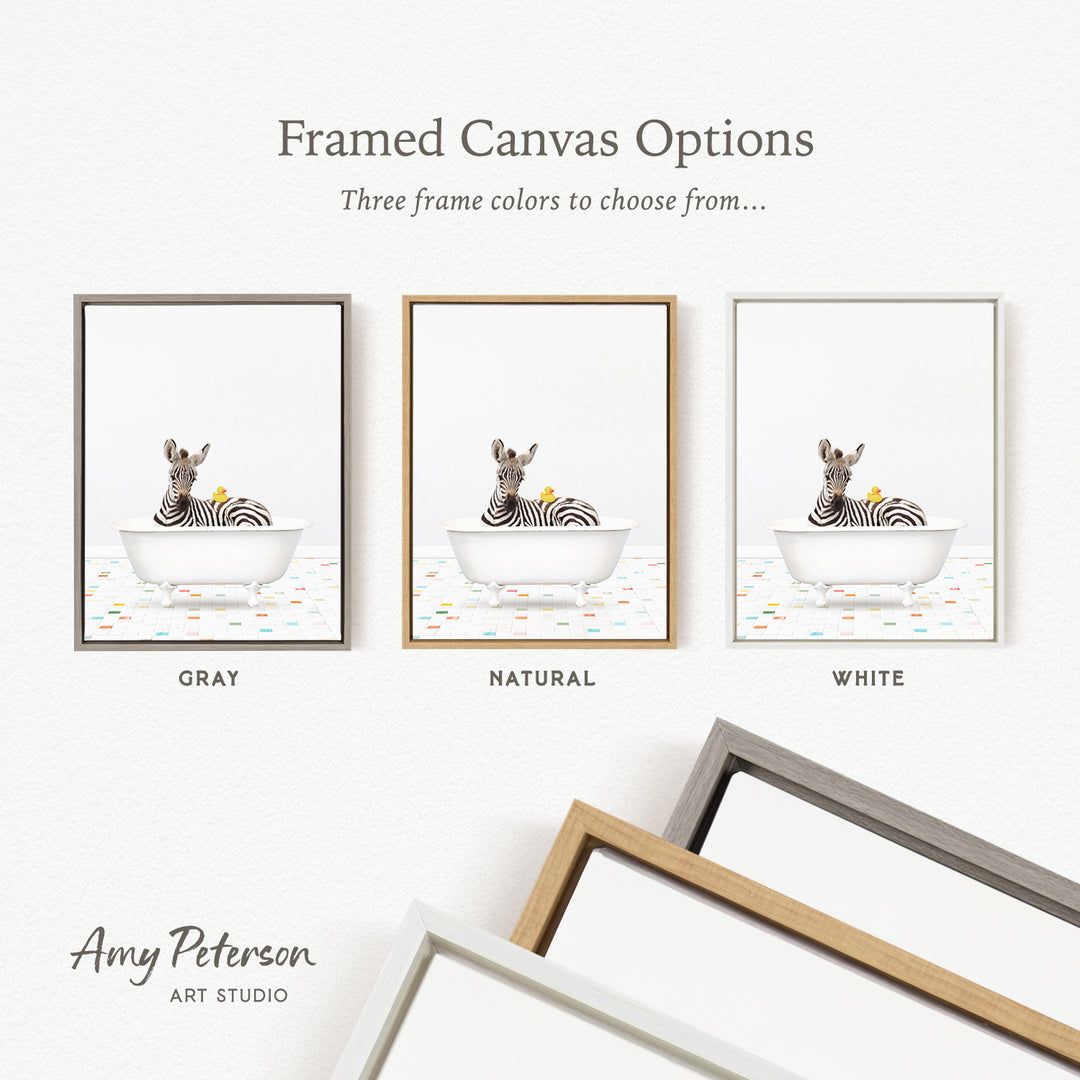 three framed canvas options, each featuring a zebra sitting in a bathtub. The options include a gray frame, a natural frame, and a white frame.