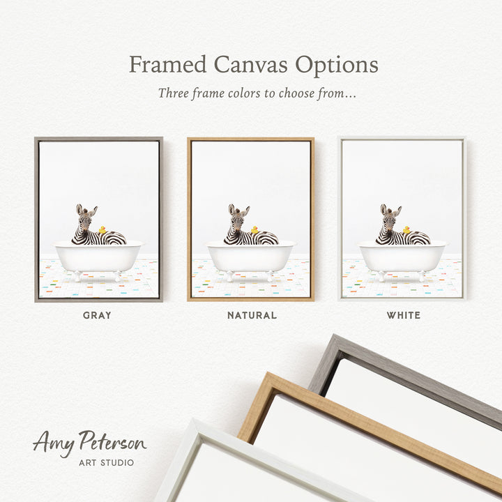 three framed canvas options, each featuring a zebra sitting in a bathtub. The options include a gray frame, a natural frame, and a white frame.