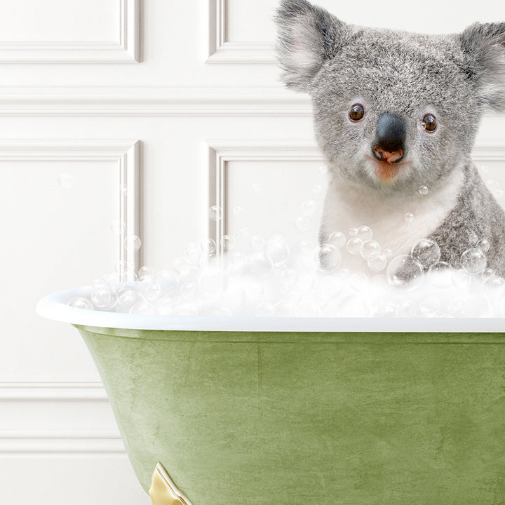 a koala sitting in a bathtub full of bubbles