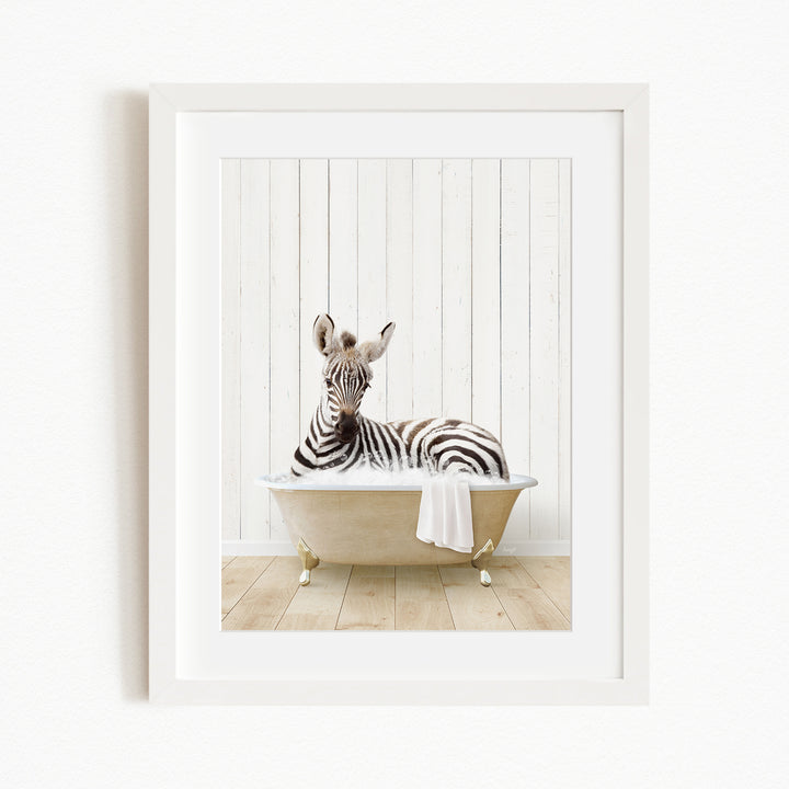 A zebra is sitting in a bathtub filled with water, surrounded by a white wooden wall.