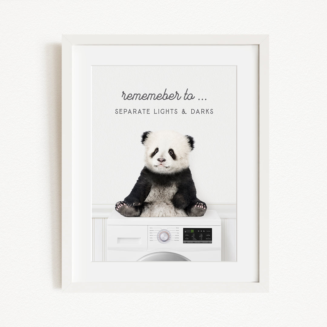 A panda bear sitting on a washing machine, with the text "Remember to..." above the washing machine.