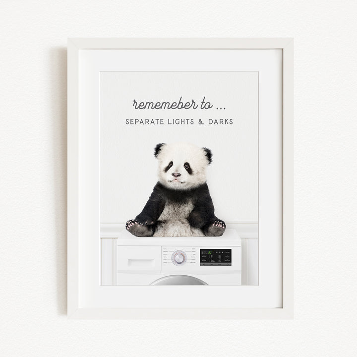 A panda bear sitting on a washing machine, with the text "Remember to..." above the washing machine.