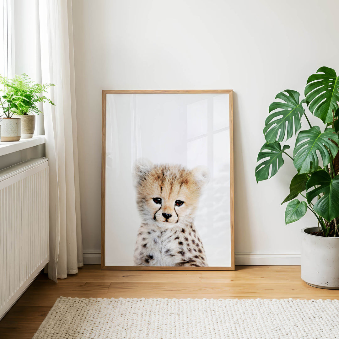 a large framed picture of a cheetah, a large indoor plant, and a white rug on a wooden floor.
