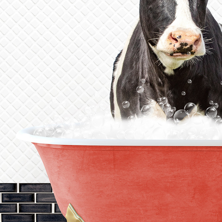 a black and white cow in a red bath tub