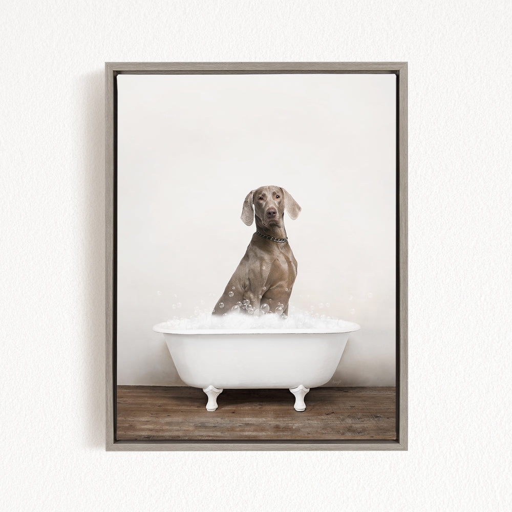 A dog sitting in a white bathtub filled with water, looking directly at the camera.