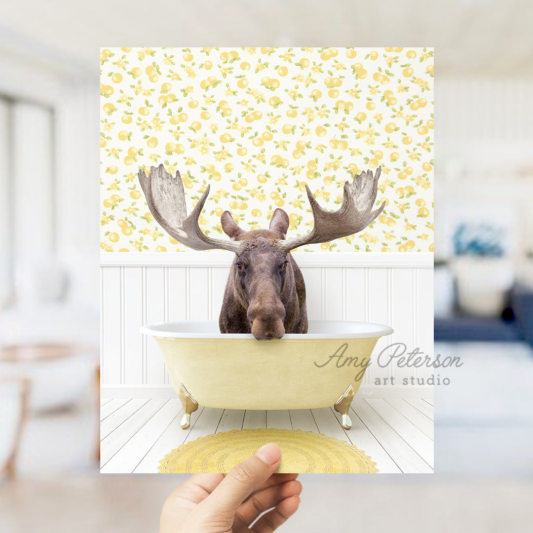 a person holding up a picture of a moose in a bathtub