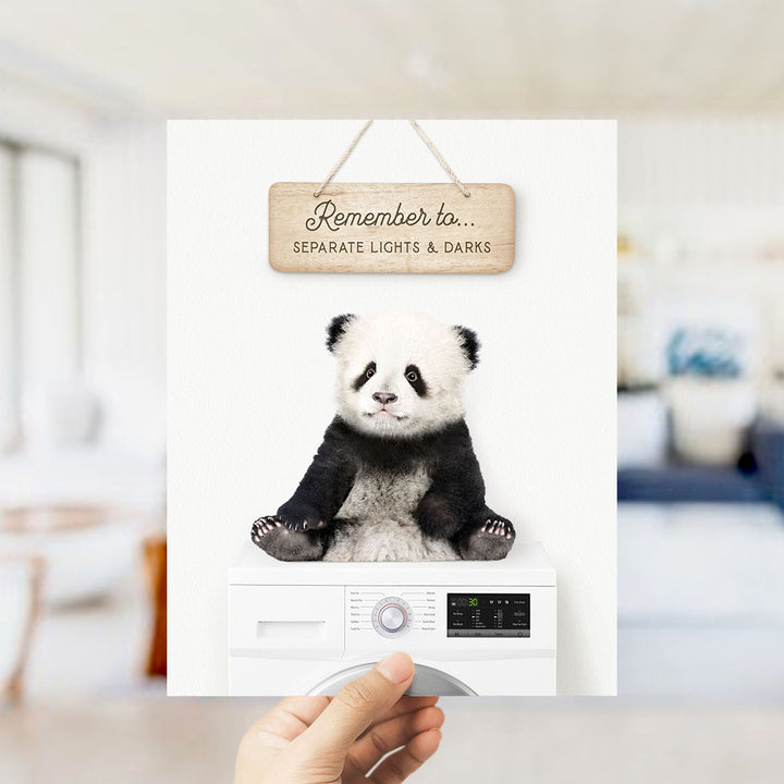 A panda bear sitting on top of a washing machine, with a wooden sign above it that says "Remember to separate lights & darks".