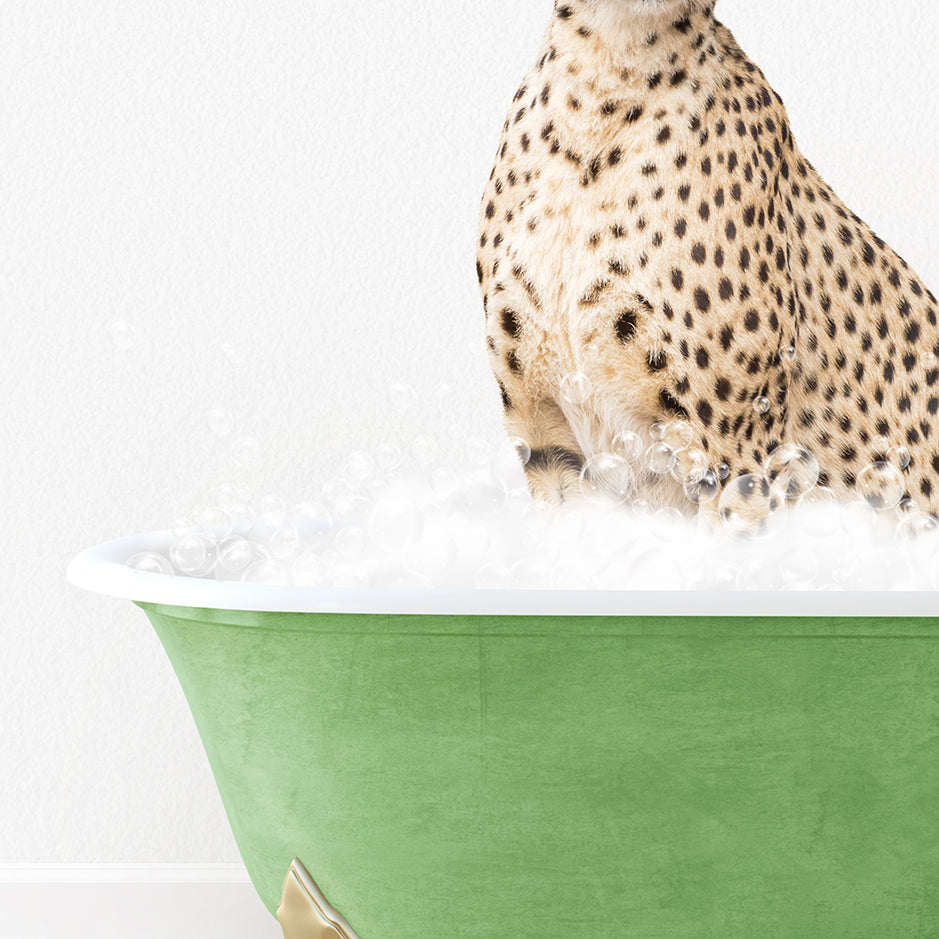 a cheetah sitting in a bathtub full of foam