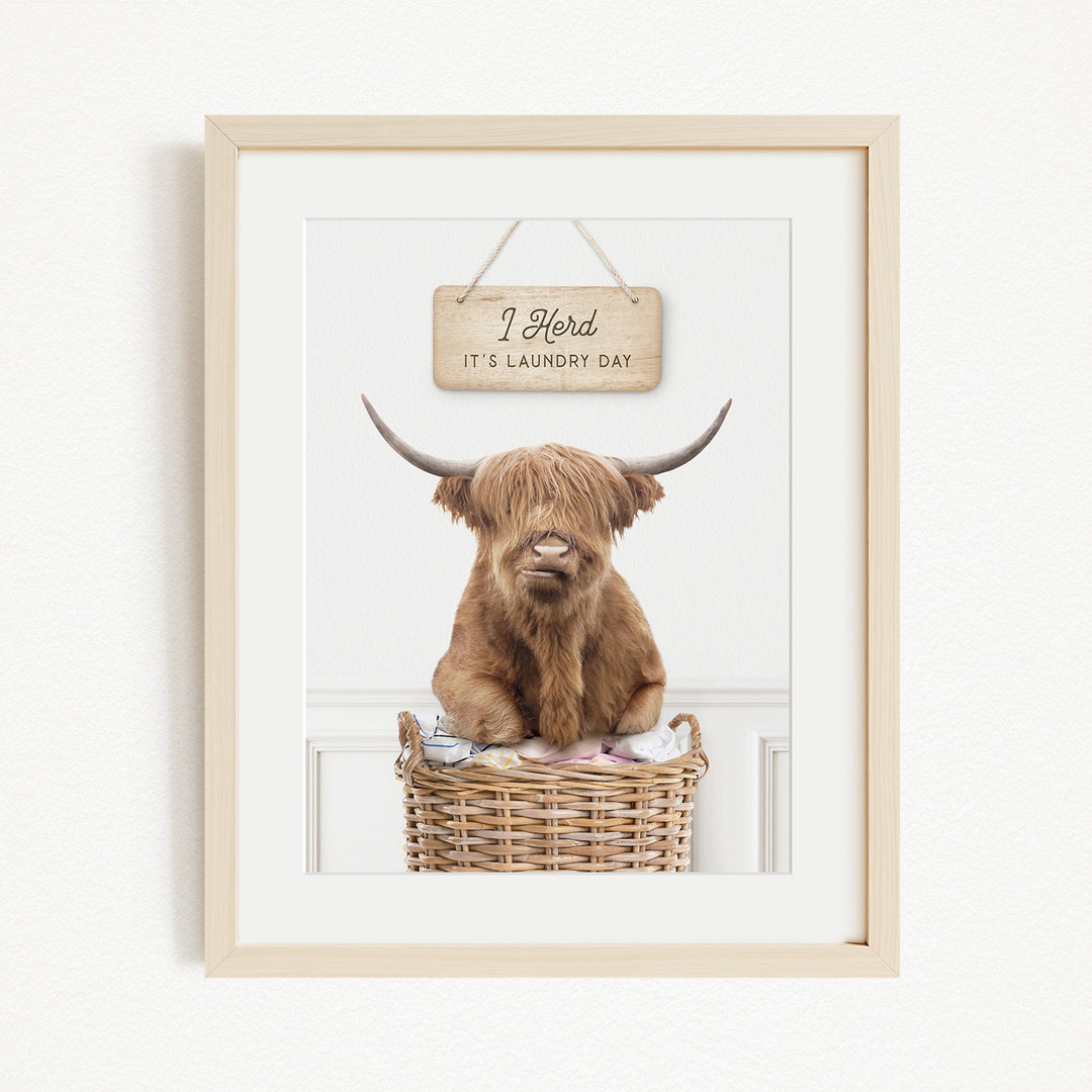 A framed image of a Highland cow sitting in a wicker basket, with a sign above it that says "I herd it's laundry day".