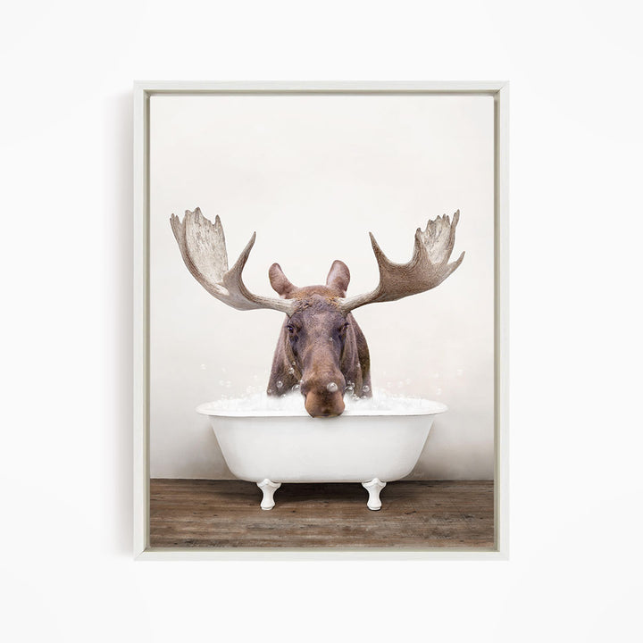 A moose with large antlers is sitting in a white bathtub filled with water, creating a whimsical and humorous scene.
