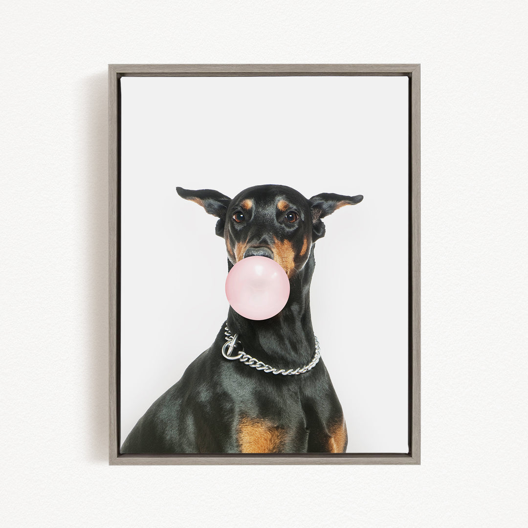 A black and tan dog wearing a silver chain collar is blowing a pink bubble with its mouth, creating a playful and adorable scene.