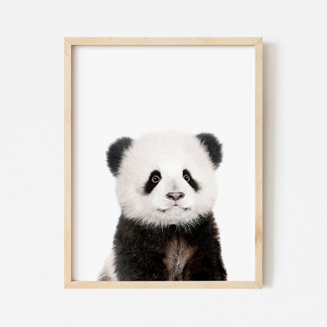 a black and white panda bear sitting in front of a white wall