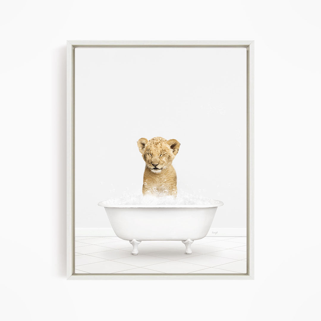 A young lion cub sitting in a white bathtub filled with water, looking up at the camera.