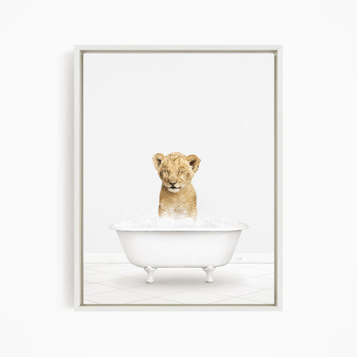 A young lion cub sitting in a white bathtub filled with water, looking up at the camera.