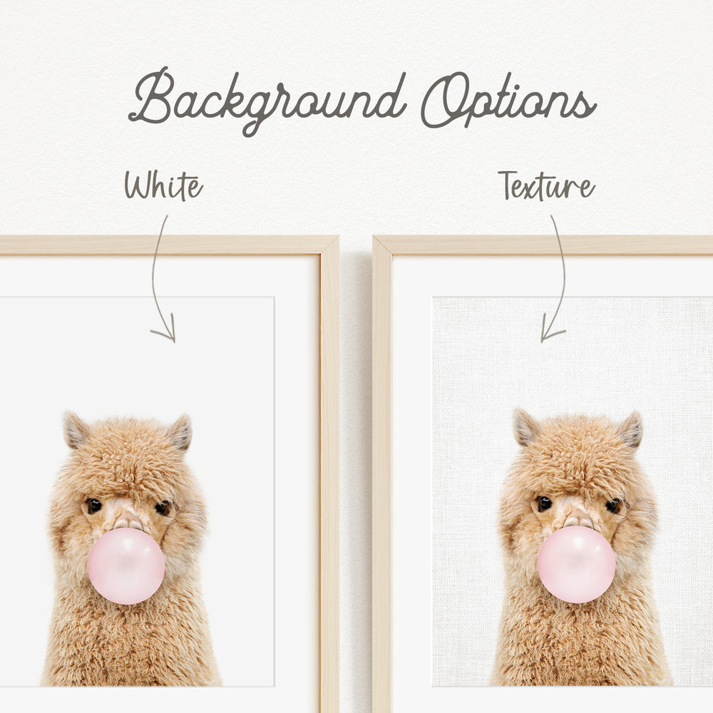 a fluffy brown alpaca blowing a bubble with a pink bubble gum bubble.