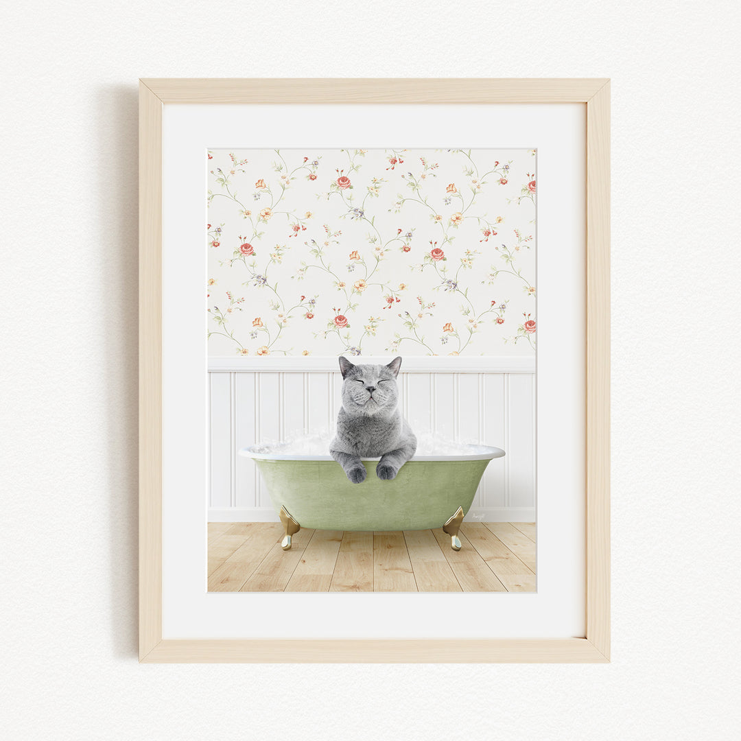A gray cat sitting on a green bathtub, with a floral wallpaper in the background.