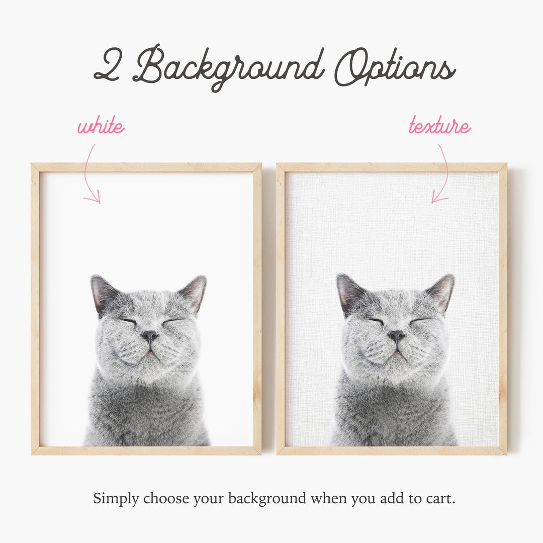 a picture of a cat with its eyes closed