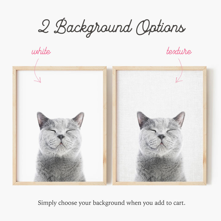 a picture of a cat with its eyes closed