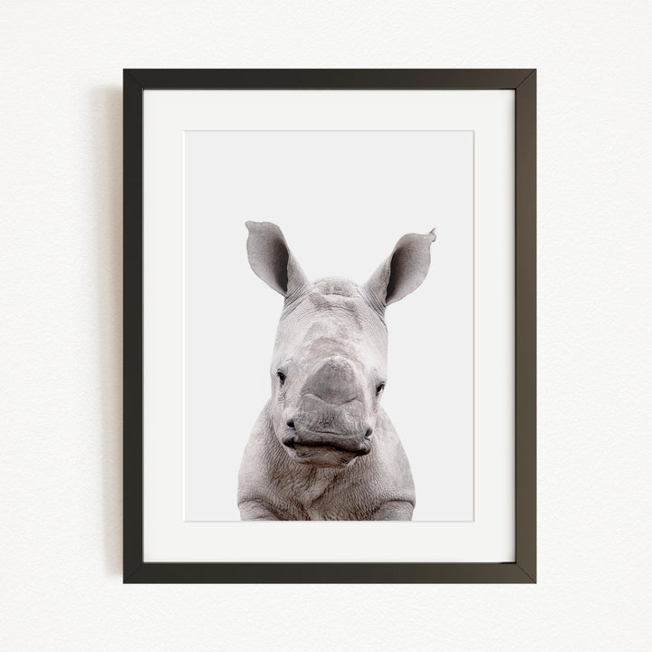 A close-up portrait of a rhinoceros, with its distinctive horn-like features prominently displayed.