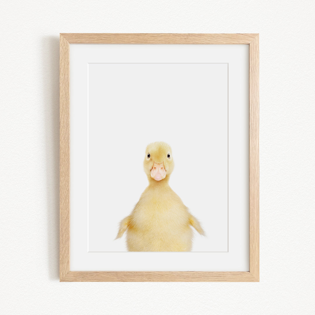 A cute yellow duck with a pink beak is the main subject of the framed picture, which is hung on a white wall.