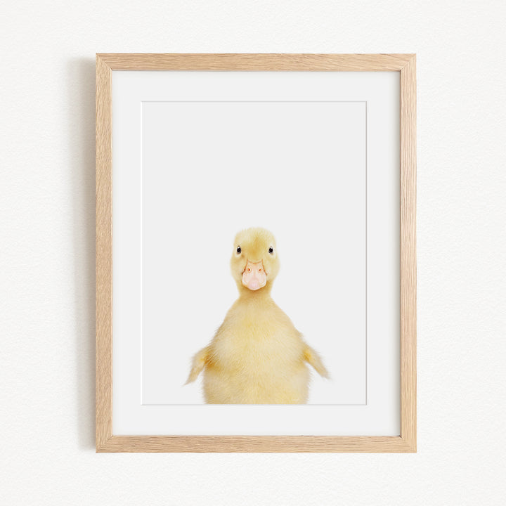 A cute yellow duck with a pink beak is the main subject of the framed picture, which is hung on a white wall.