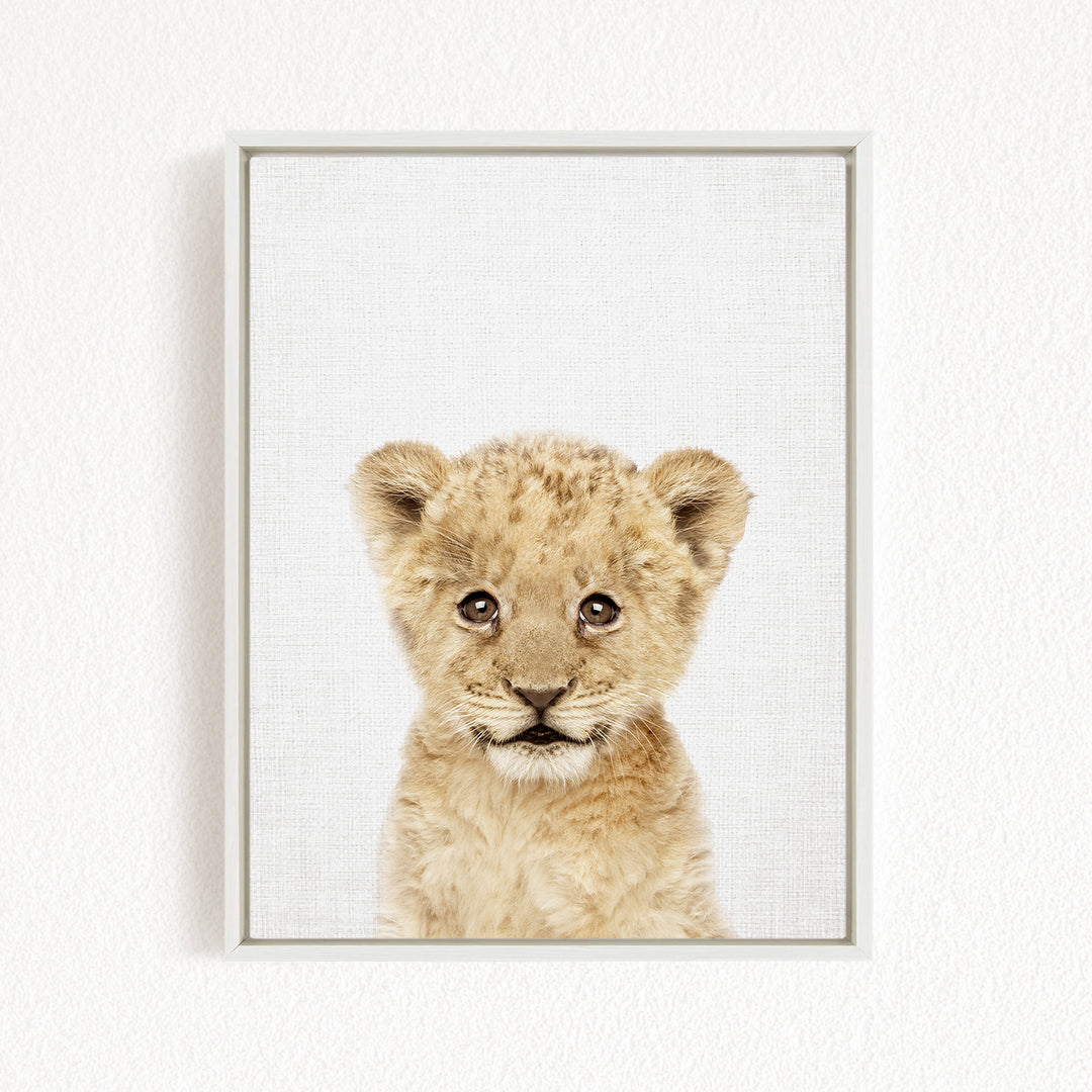 A young lion cub with a curious expression, looking directly at the camera.
