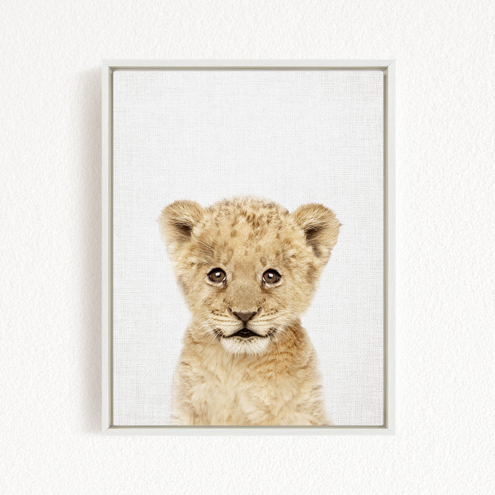 A young lion cub with a curious expression, looking directly at the camera.