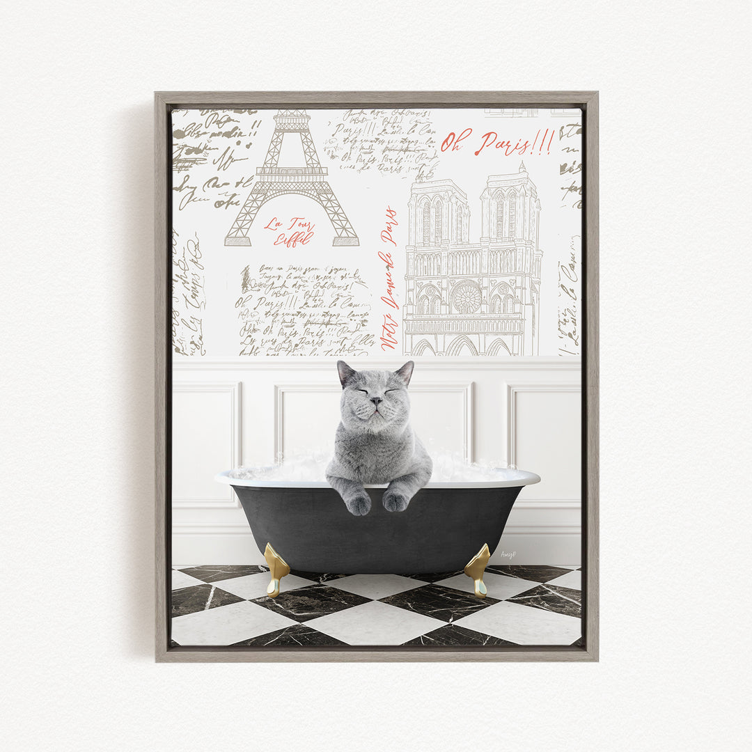 A gray cat sitting in a bathtub filled with bubbles, with a framed image of the Eiffel Tower and Paris in the background.