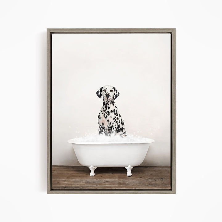 A Dalmatian dog sitting in a white bathtub filled with water, looking directly at the camera.