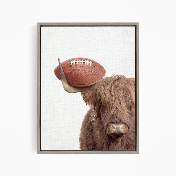 A brown cow with shaggy hair is holding a football in its head, creating a playful and whimsical scene.