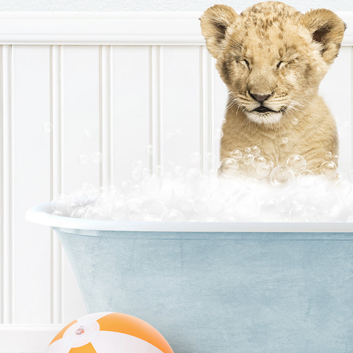 a lion cub sitting in a bathtub with bubbles