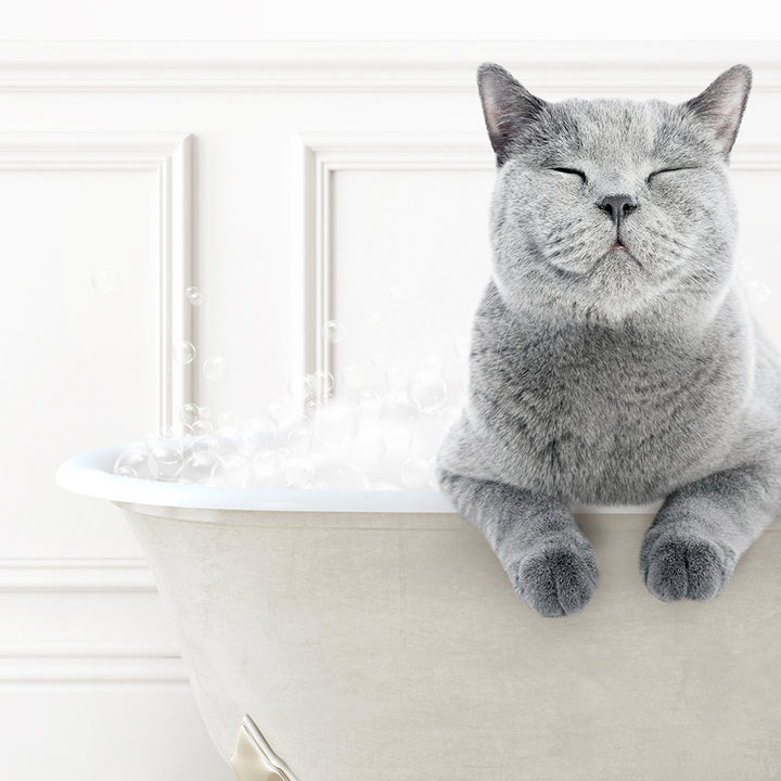 a gray cat is sitting in a bathtub