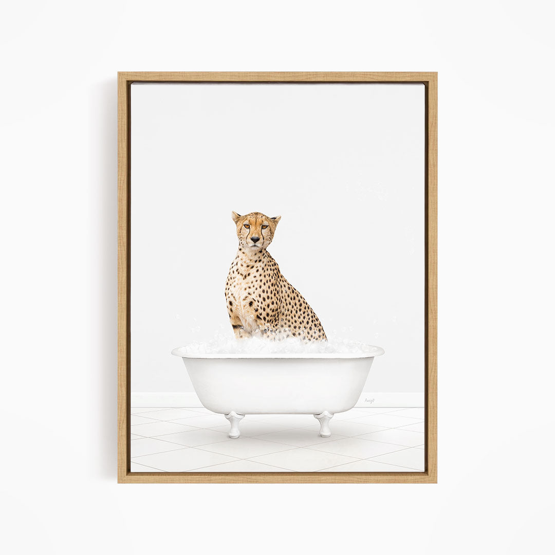 A cheetah sitting in a white bathtub filled with water.