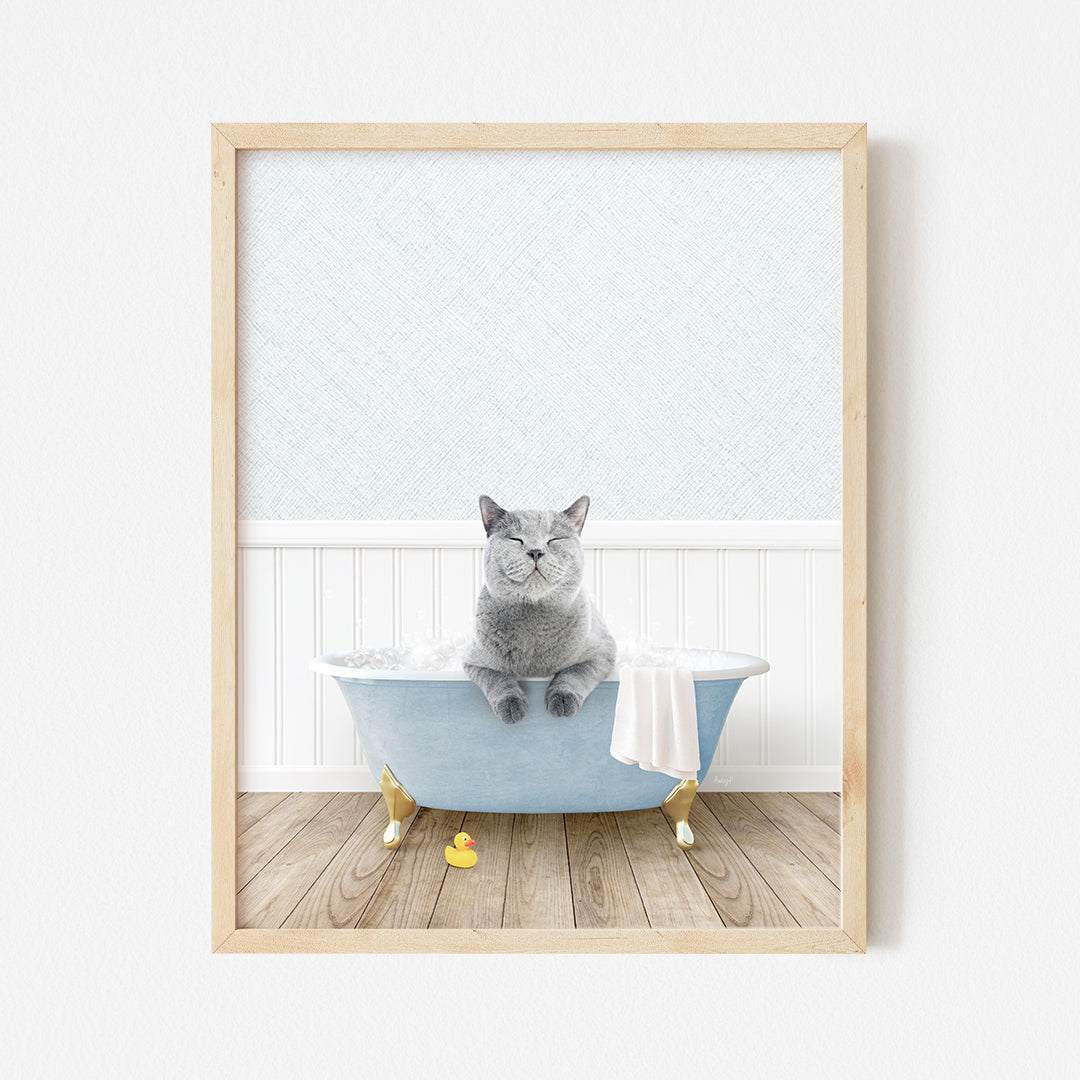 a gray cat sitting in a blue bath tub