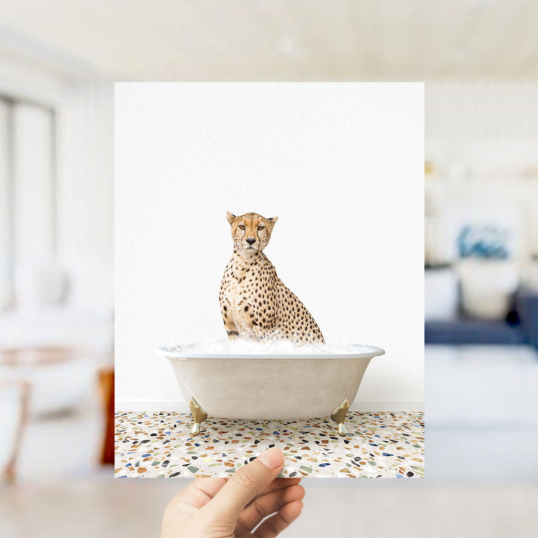 A cheetah sitting in a bathtub filled with water, as if taking a bath.