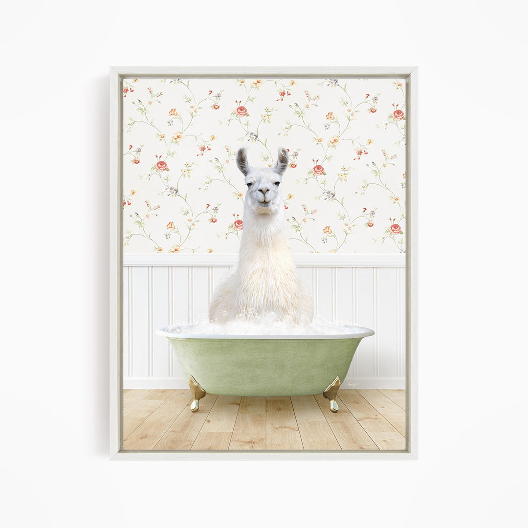 A white llama sitting in a green bathtub filled with water, with a floral wallpaper in the background.