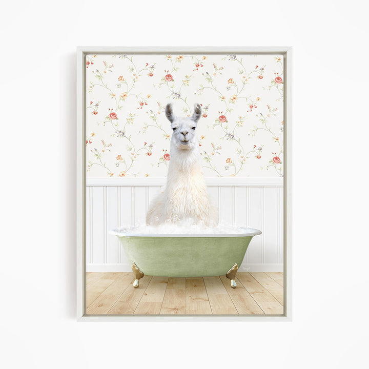 A white llama sitting in a green bathtub filled with water, with a floral wallpaper in the background.