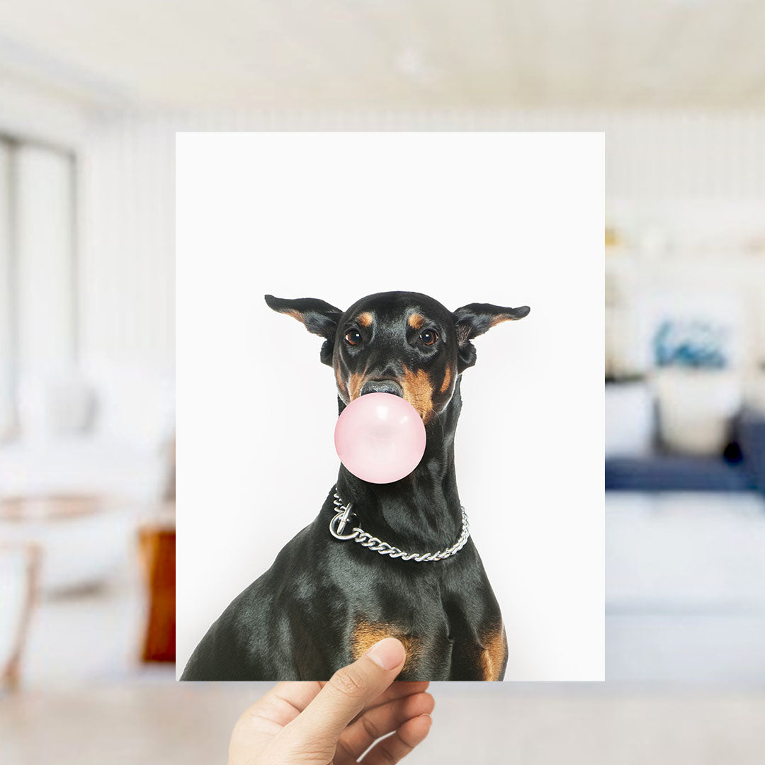 A black and brown dog is blowing a bubble with a pink bubble gum bubble, held up in front of a white background.