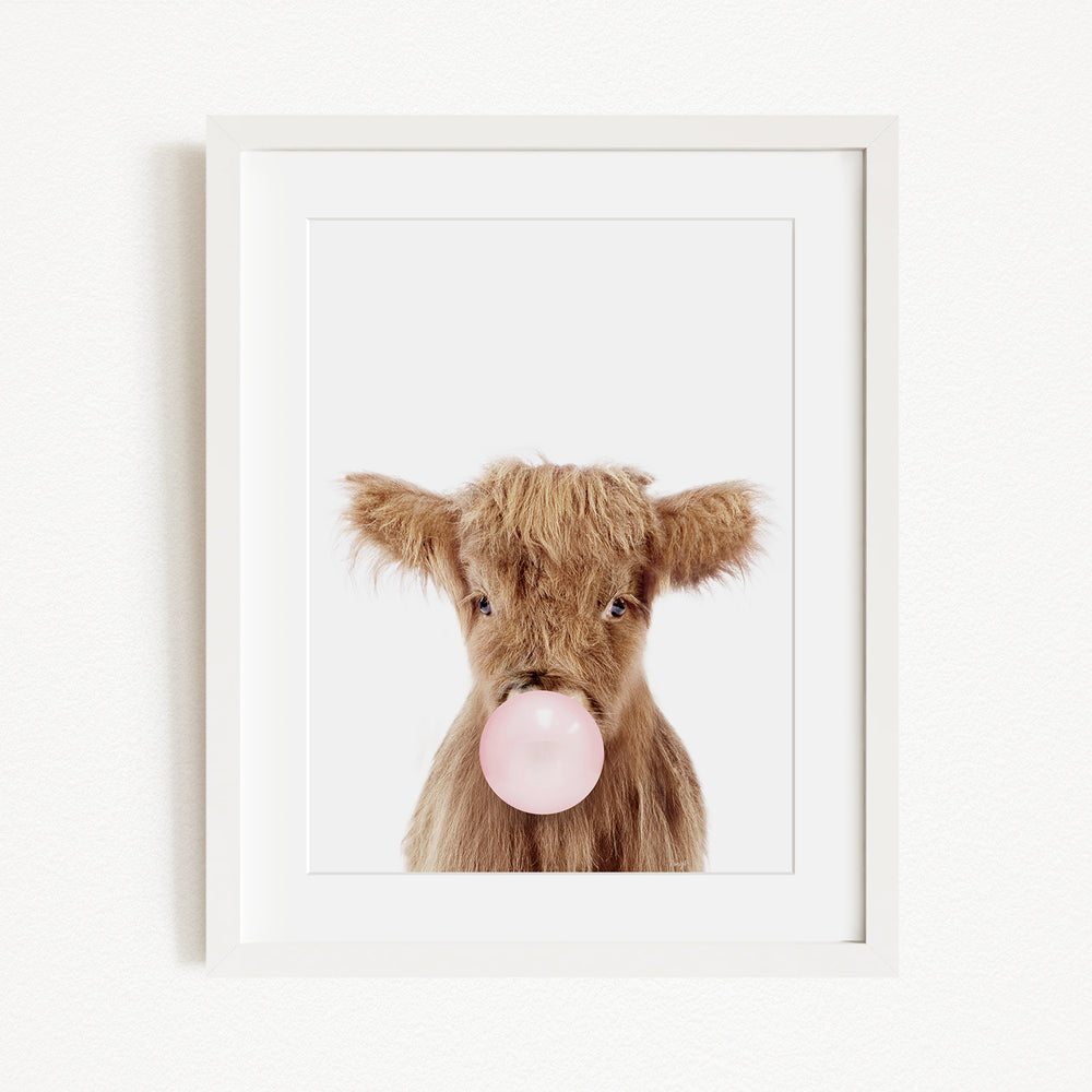 A framed image of a brown cow blowing a bubble with a pink bubble gum bubble.