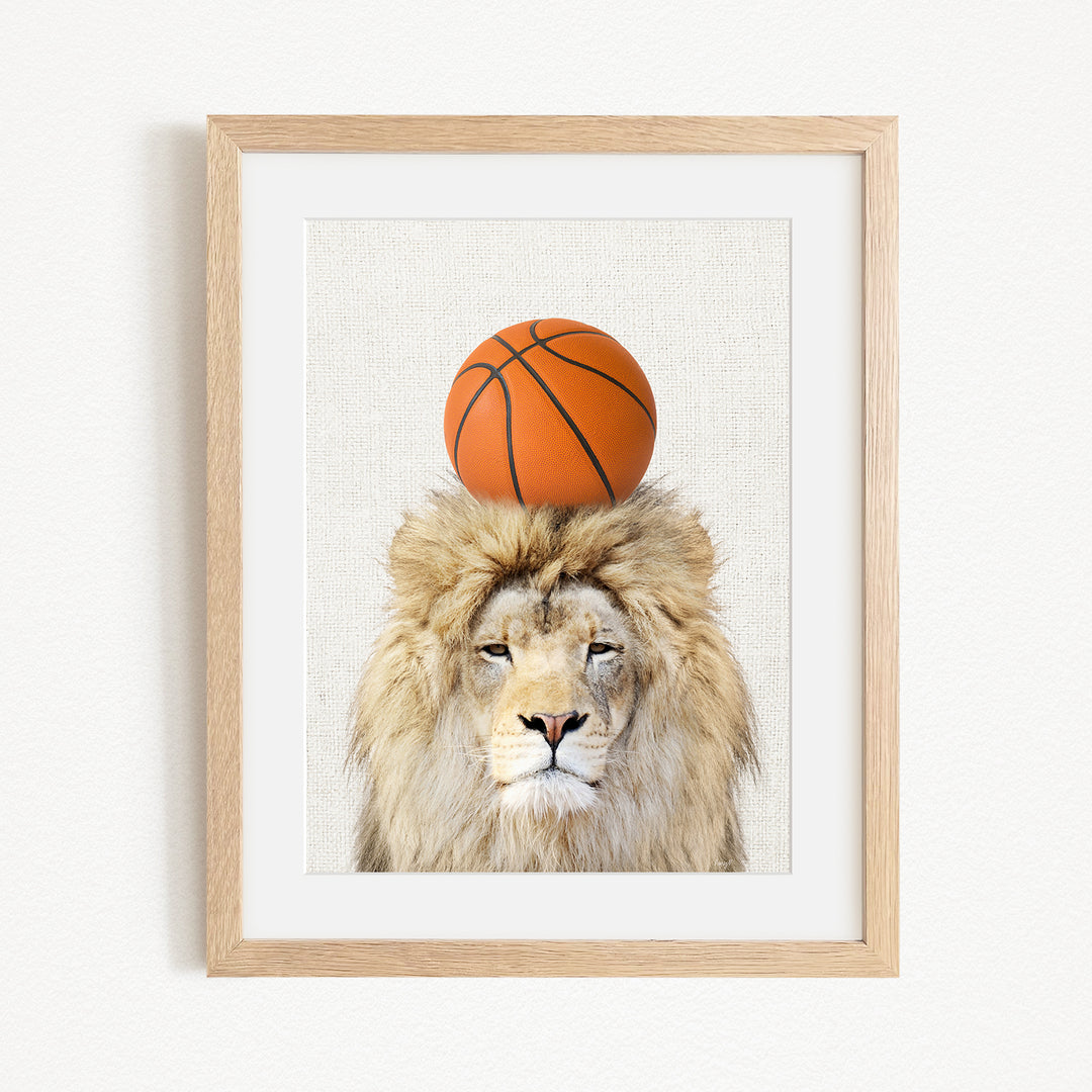A framed image of a lion with a basketball on its head.