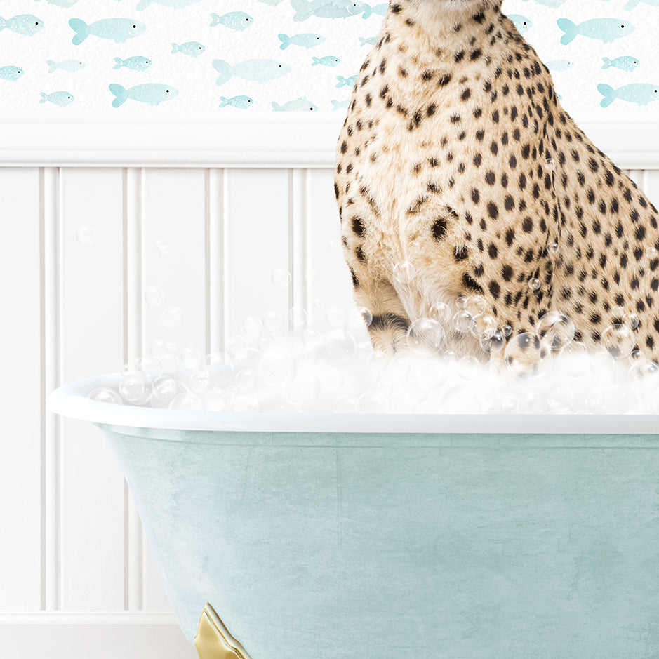 a cheetah sitting on top of a bathtub filled with foam