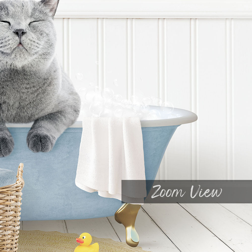 A gray cat sitting in a blue bathtub, with a yellow rubber duck nearby, and a white towel draped over the tub.
